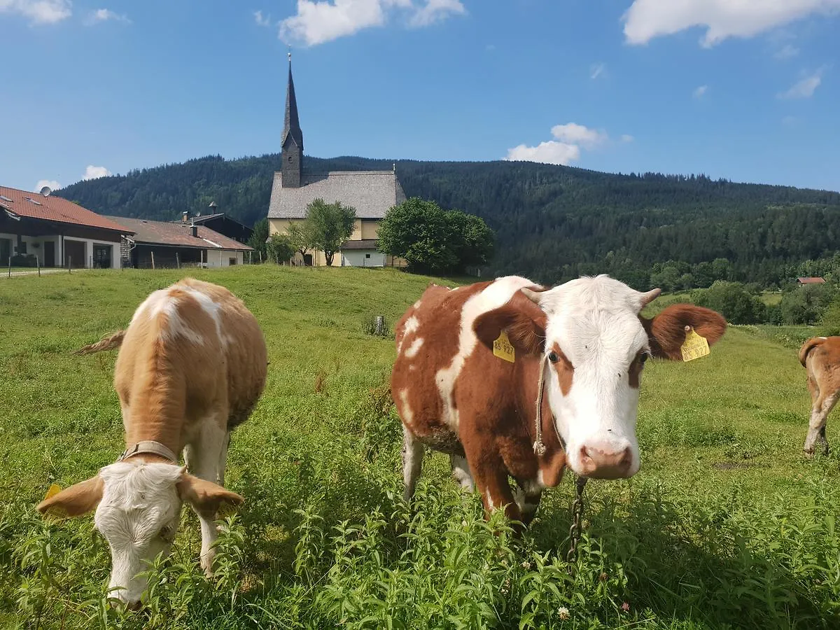 Alpenhotel Gastager Inzell 3*,